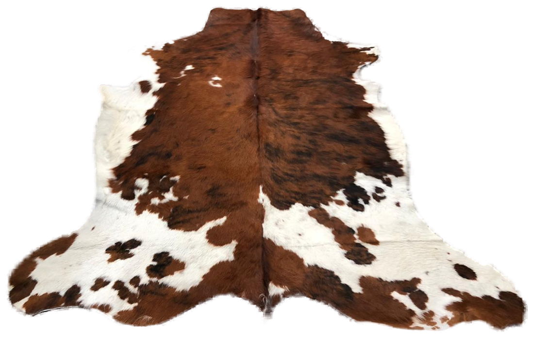 Brown and white cowhide detail - Gallery Art Group