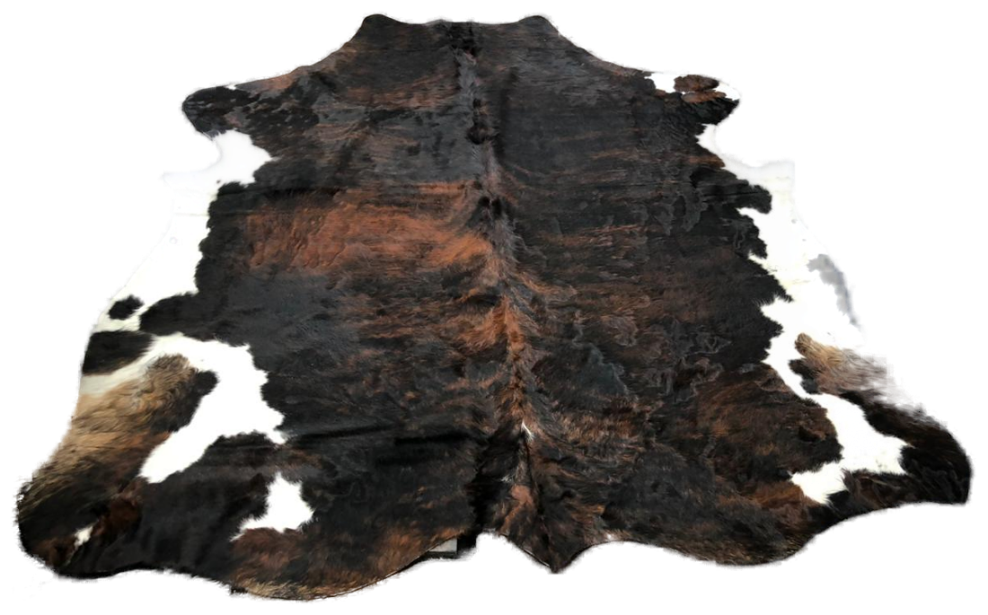 Tricolor cowhide detail - Gallery Art Group