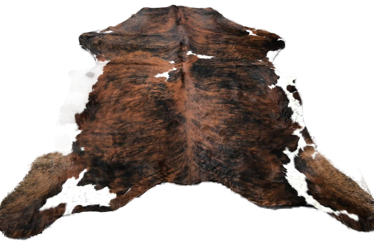Chestnut & White cowhide — exact hide No. 16