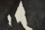 Black and white cowhide pattern