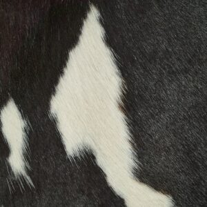 Black and white cowhide pattern