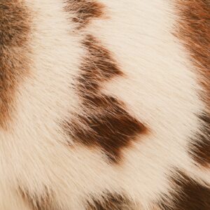 Brindle cowhide detail