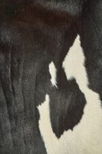 Dark cowhide texture