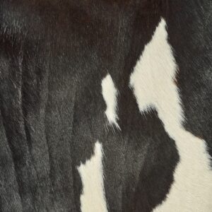 Dark cowhide texture