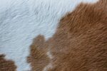 Brown and white cowhide detail
