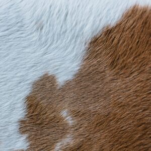 Brown and white cowhide detail