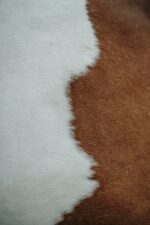 Brown and white cowhide texture