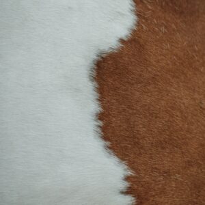 Brown and white cowhide texture