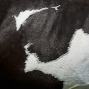 Cowhide spotted texture