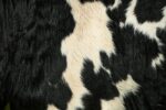 Tricolor cowhide texture